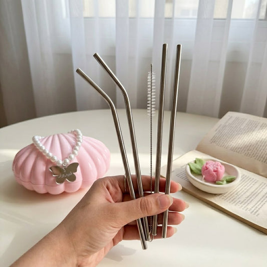 Stainless Straw set 4 pieces