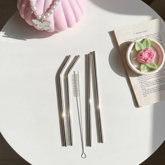 Stainless Straw set 4 pieces